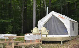 The Dyrt's photo at Bickford Wood near Eaton Center, NH