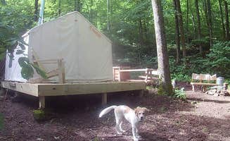 The Dyrt's photo of camping with pets at Hidden Hilltop Hideaway near Liberty, KY