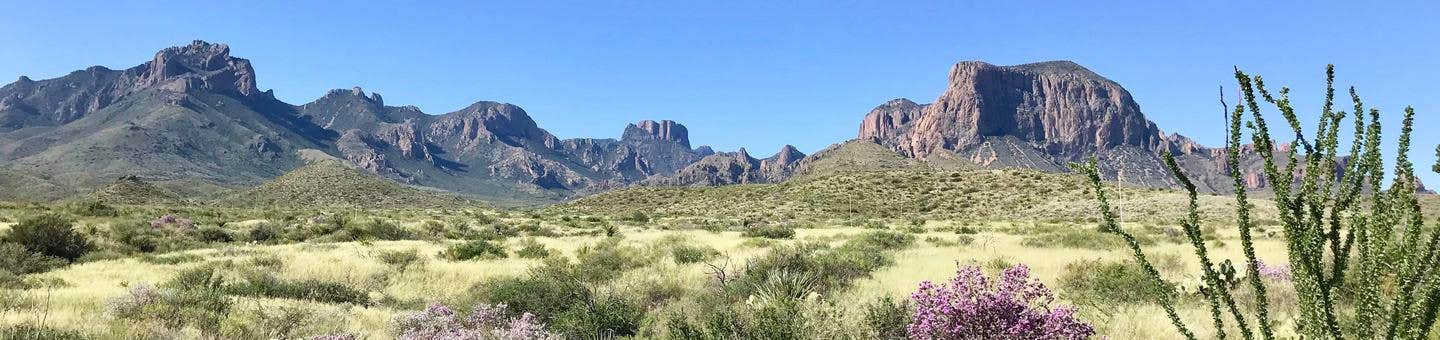 Camper submitted image from Big Bend Backcountry Camping — Big Bend National Park - 2