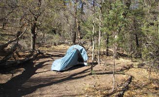 The Dyrt's photo at Big Bend Backcountry Camping — Big Bend National Park near Big Bend National Park