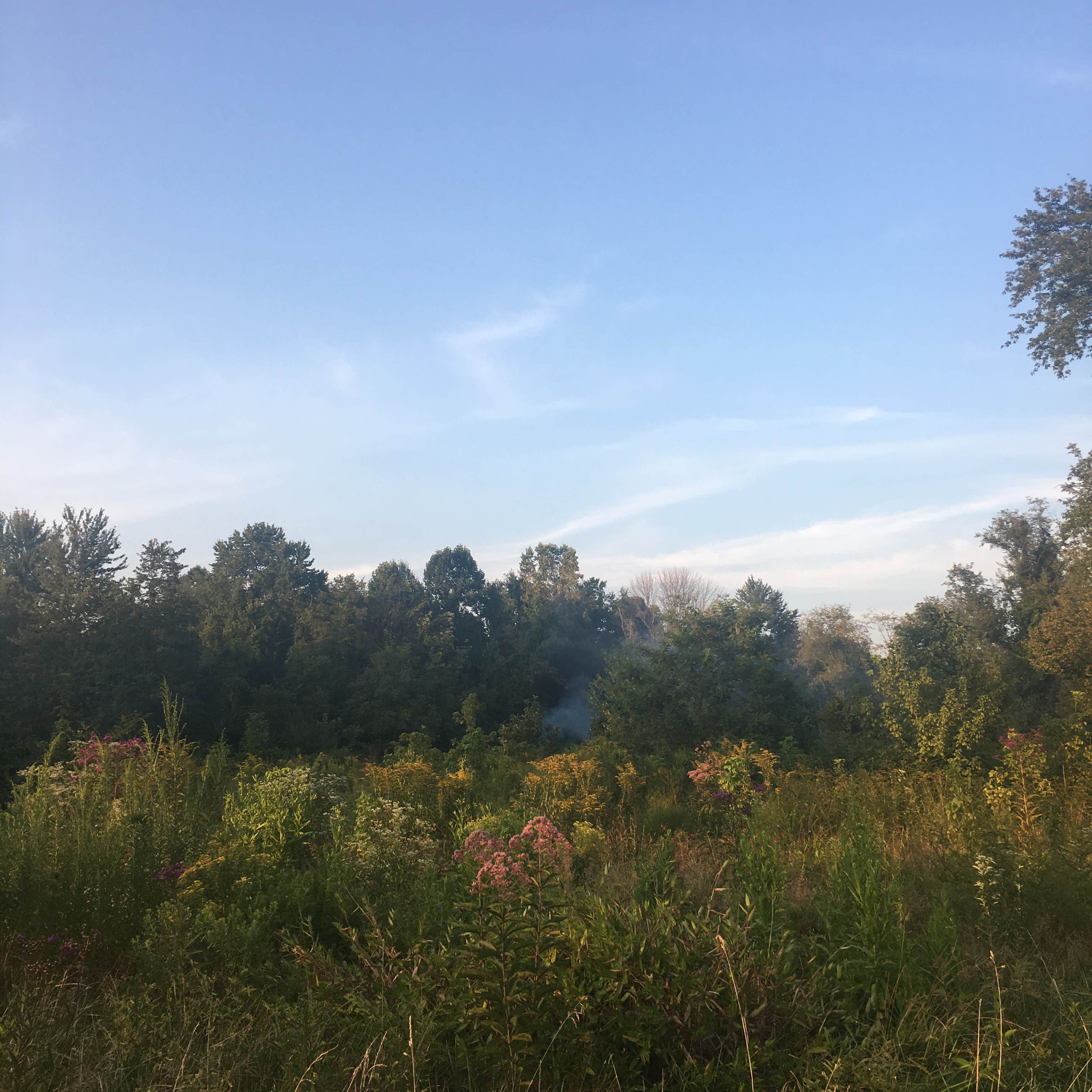 Camper submitted image from Clifty Falls State Park Campground - 2