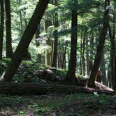 Review photo of Ottawa National Forest Black River Harbor Campground by Thomas F., May 2, 2015