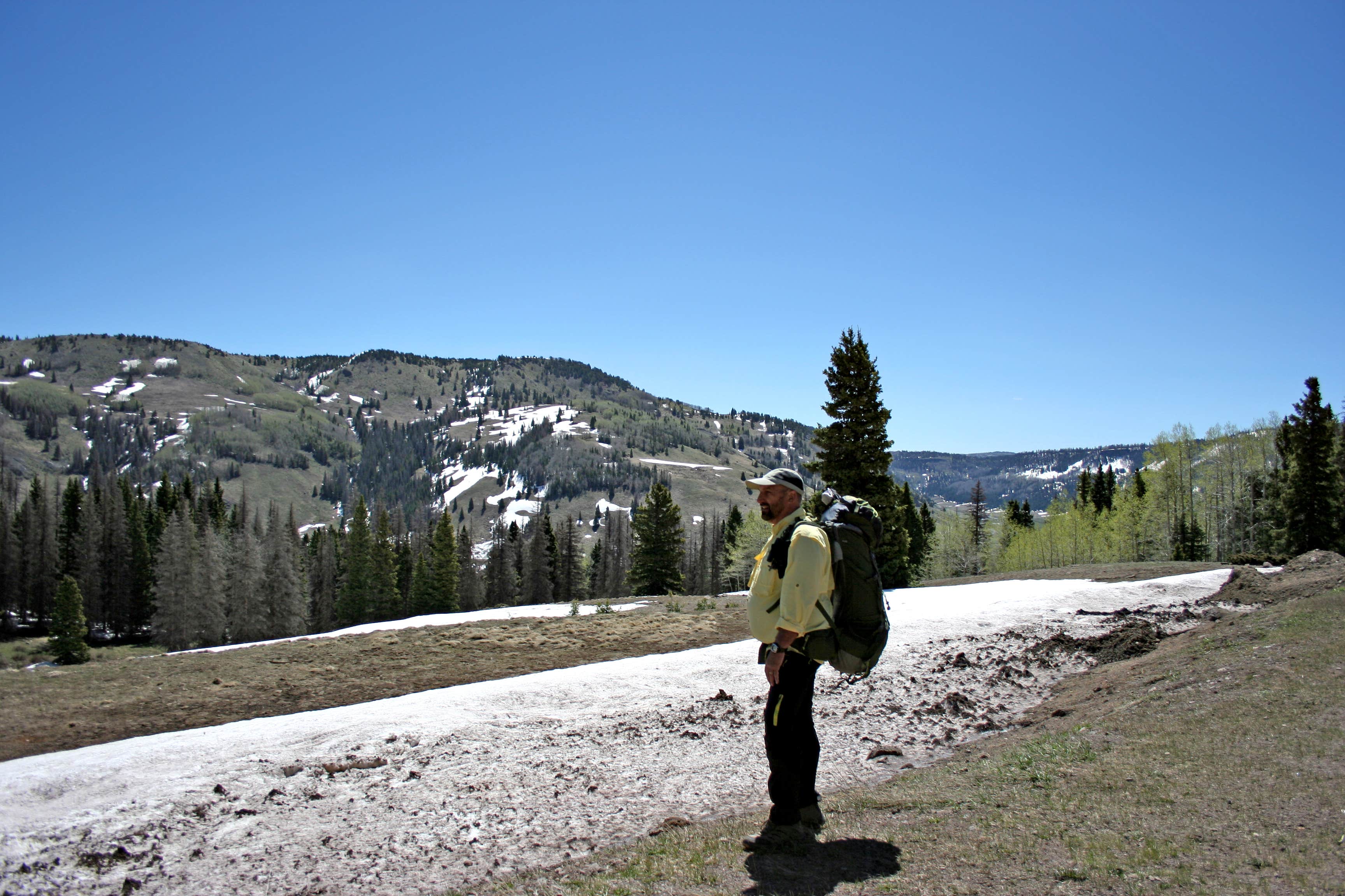 Camper submitted image from Ponderosa Campground - 4