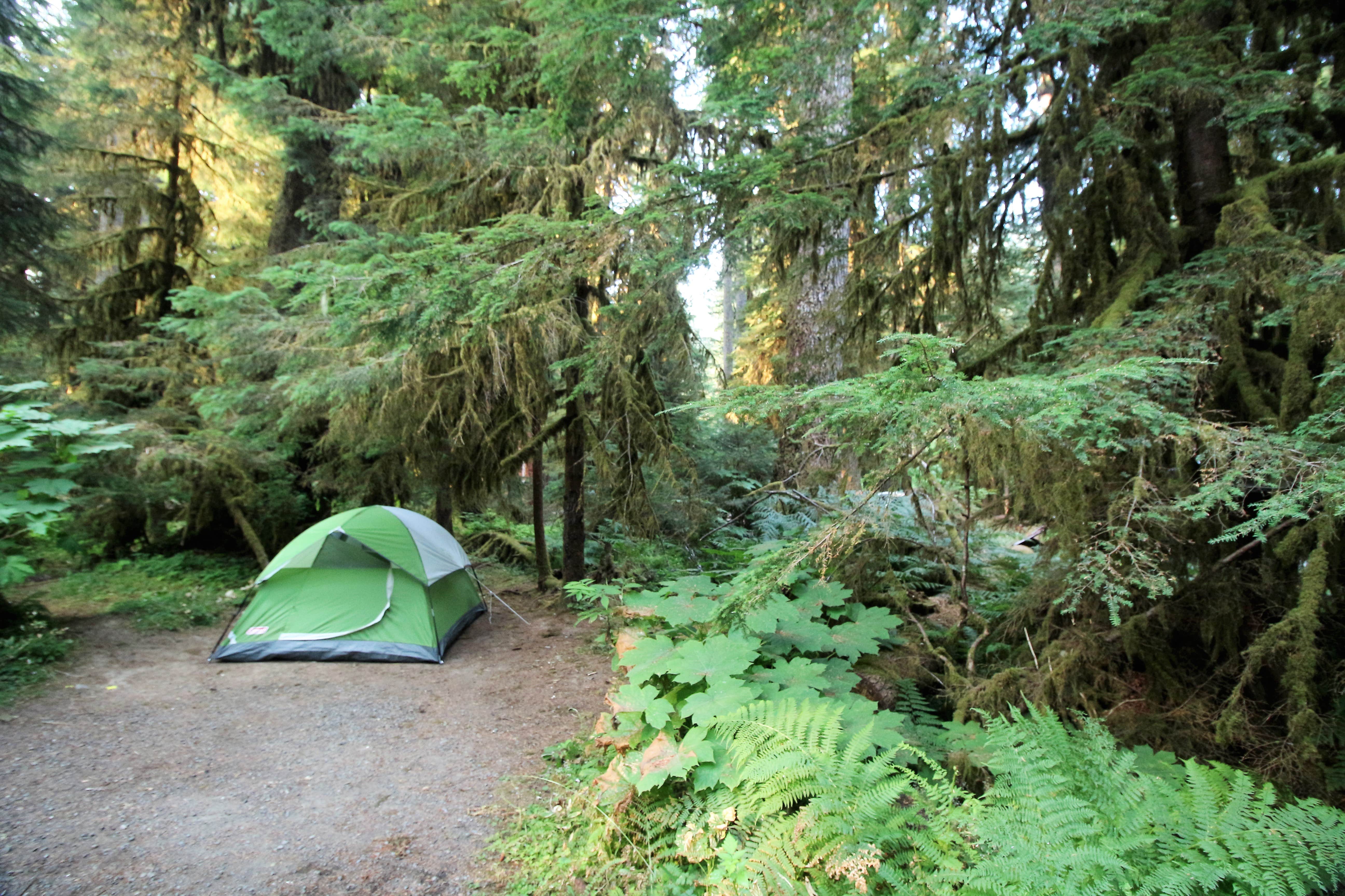 Elliott B.'s photo at Sol Duc Hot Springs Resort Campground — Olympic National Park near Olympic National Park