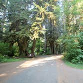 Review photo of Sol Duc Hot Springs Resort Campground — Olympic National Park by Elliott B., August 30, 2017