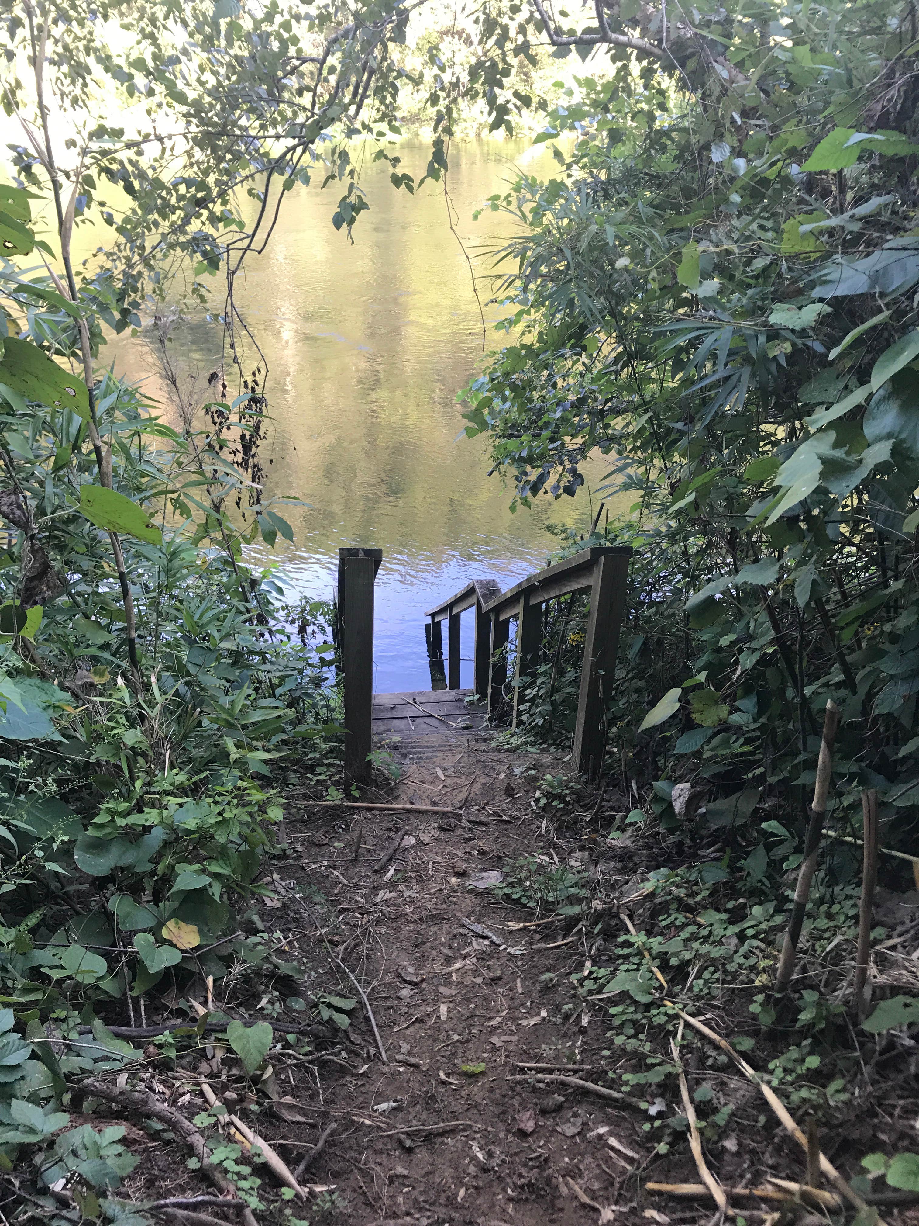 Camper submitted image from Dam Site River - Beaver Lake - 3