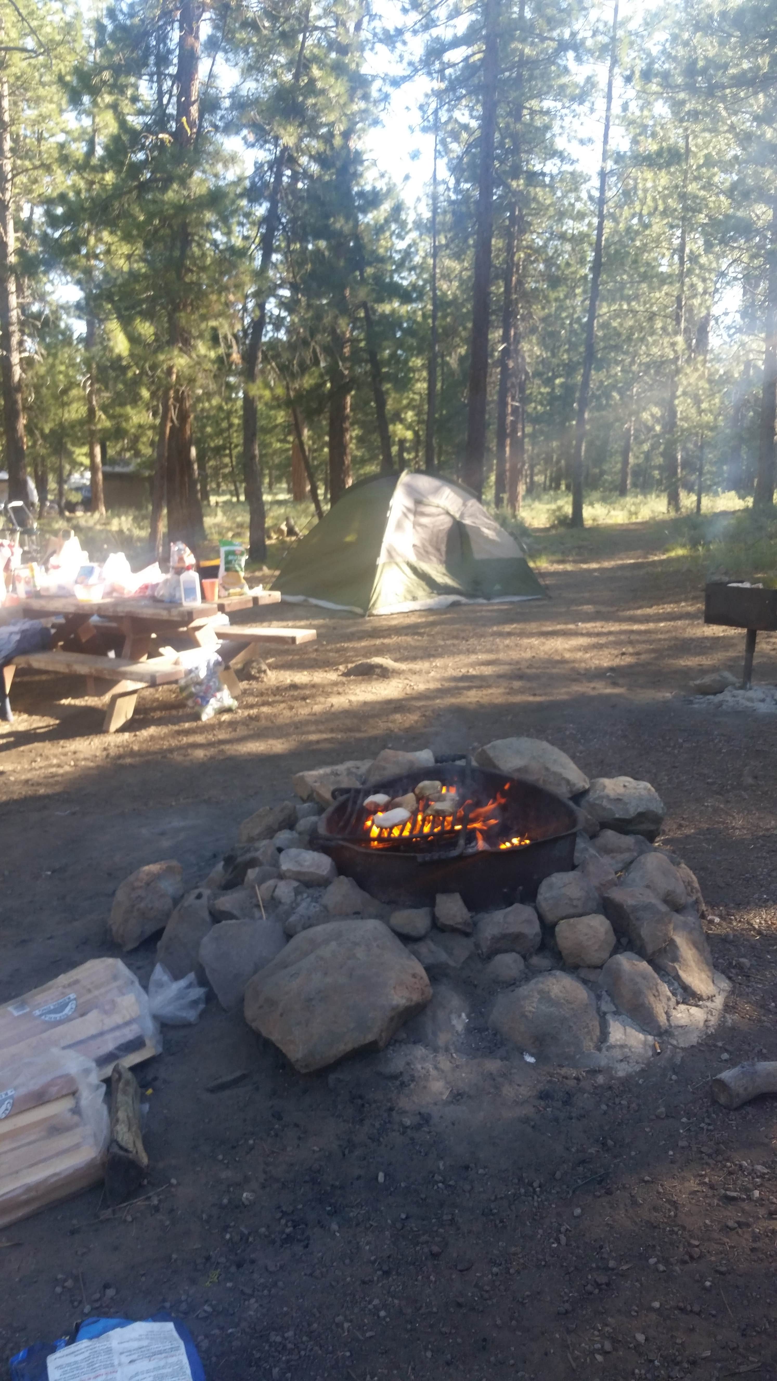 Camper submitted image from Logger Campground - 3