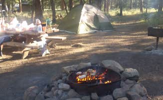 James L.'s photo at Logger Campground near Truckee, CA