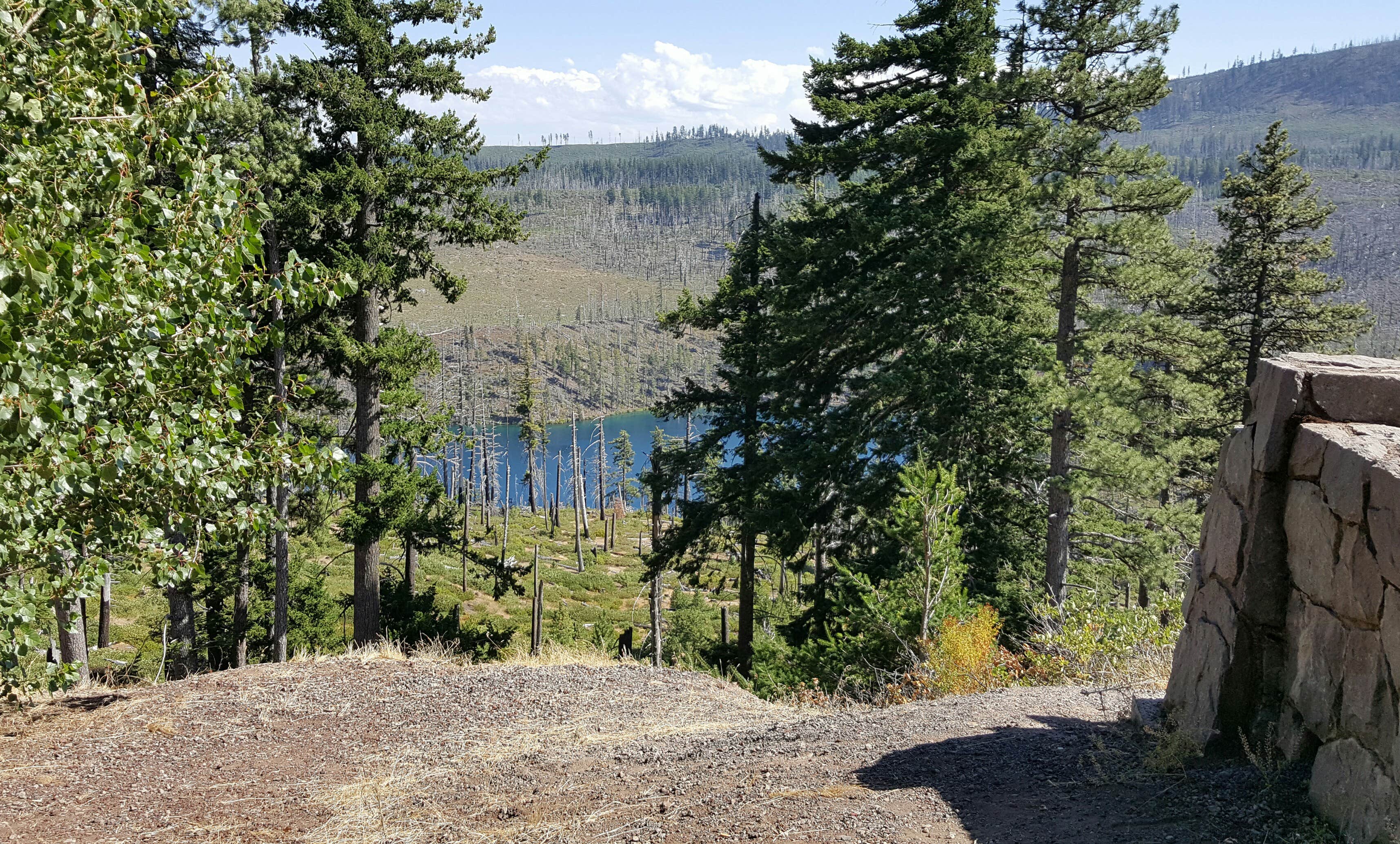 Camper submitted image from South Shore Suttle Lake - 4