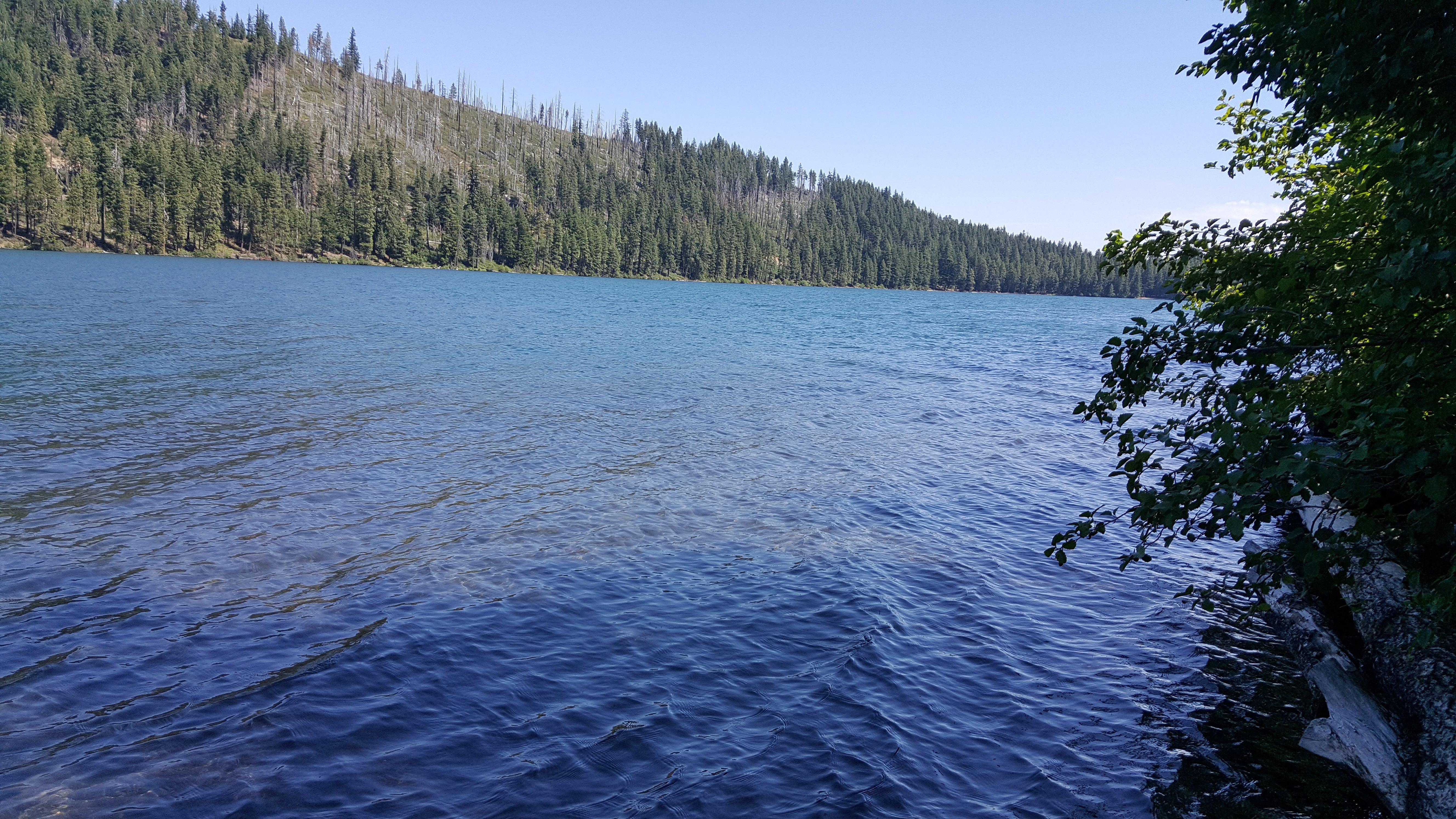Camper submitted image from South Shore Suttle Lake - 3