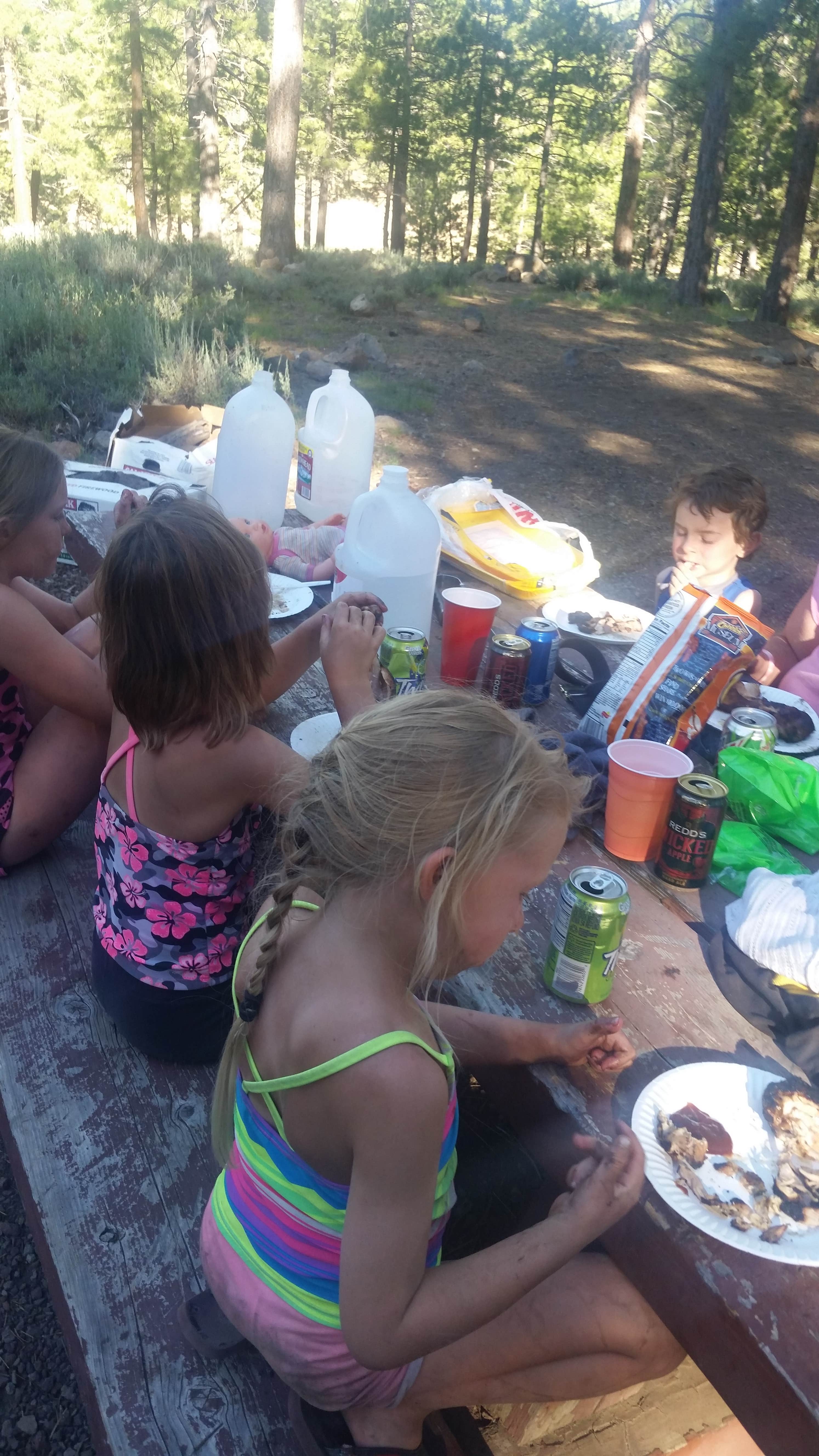 Camper submitted image from Logger Campground - 4