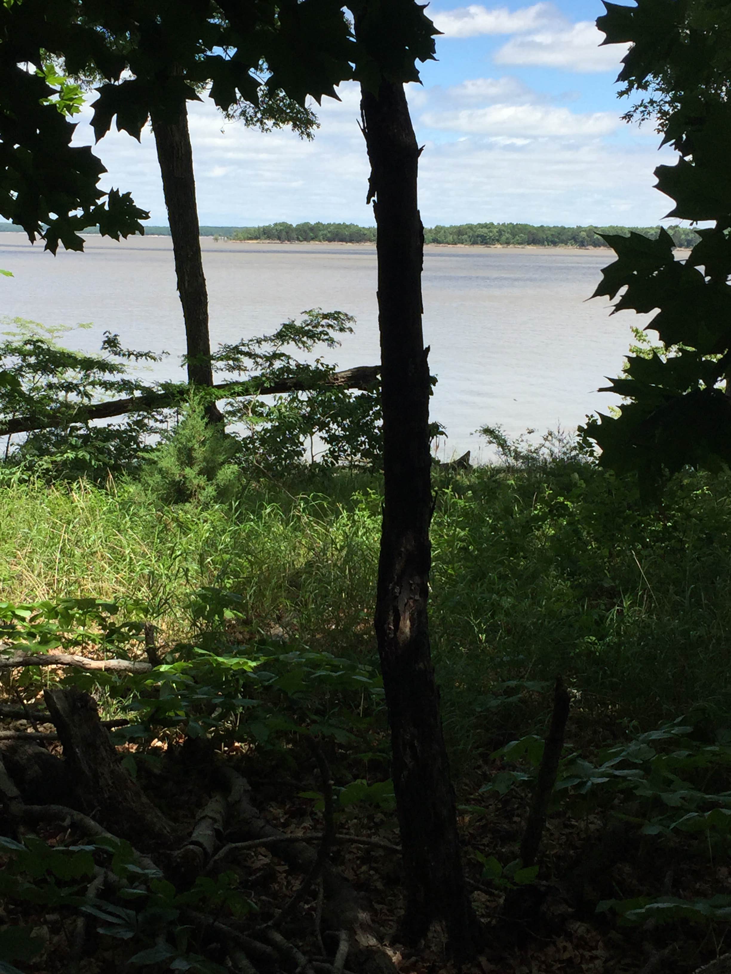 Camper submitted image from Puma — Mark Twain State Park - 2