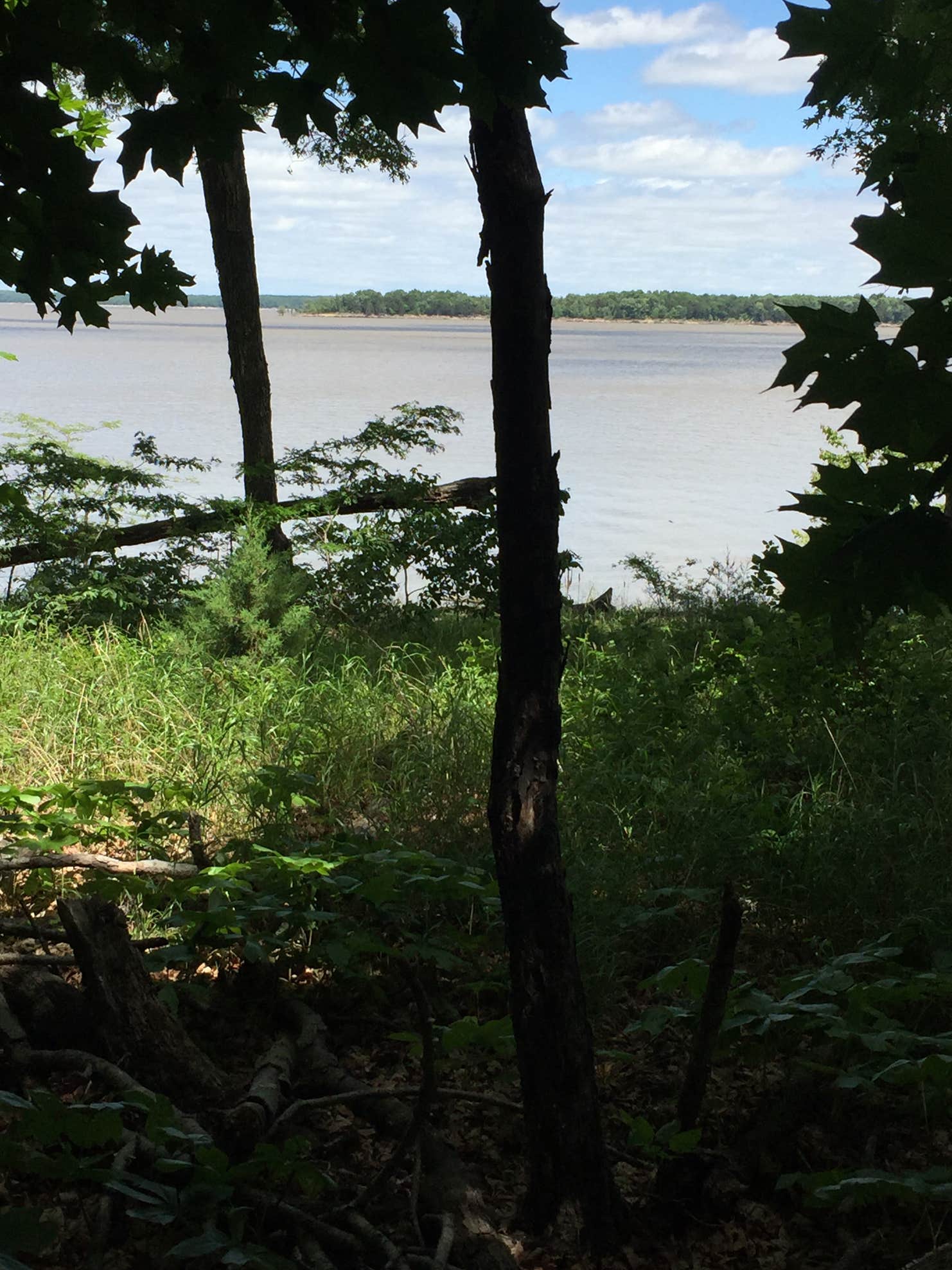 Mark Twain State Park Camping The Dyrt