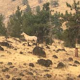 Review photo of Deschutes River Campground — The Cove Palisades State Park by Amanda N., August 31, 2017