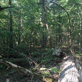 Review photo of Table Rock State Park Campground by Chad K., August 31, 2017