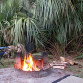Review photo of Skidaway Island State Park Campground by Jason I., May 6, 2015