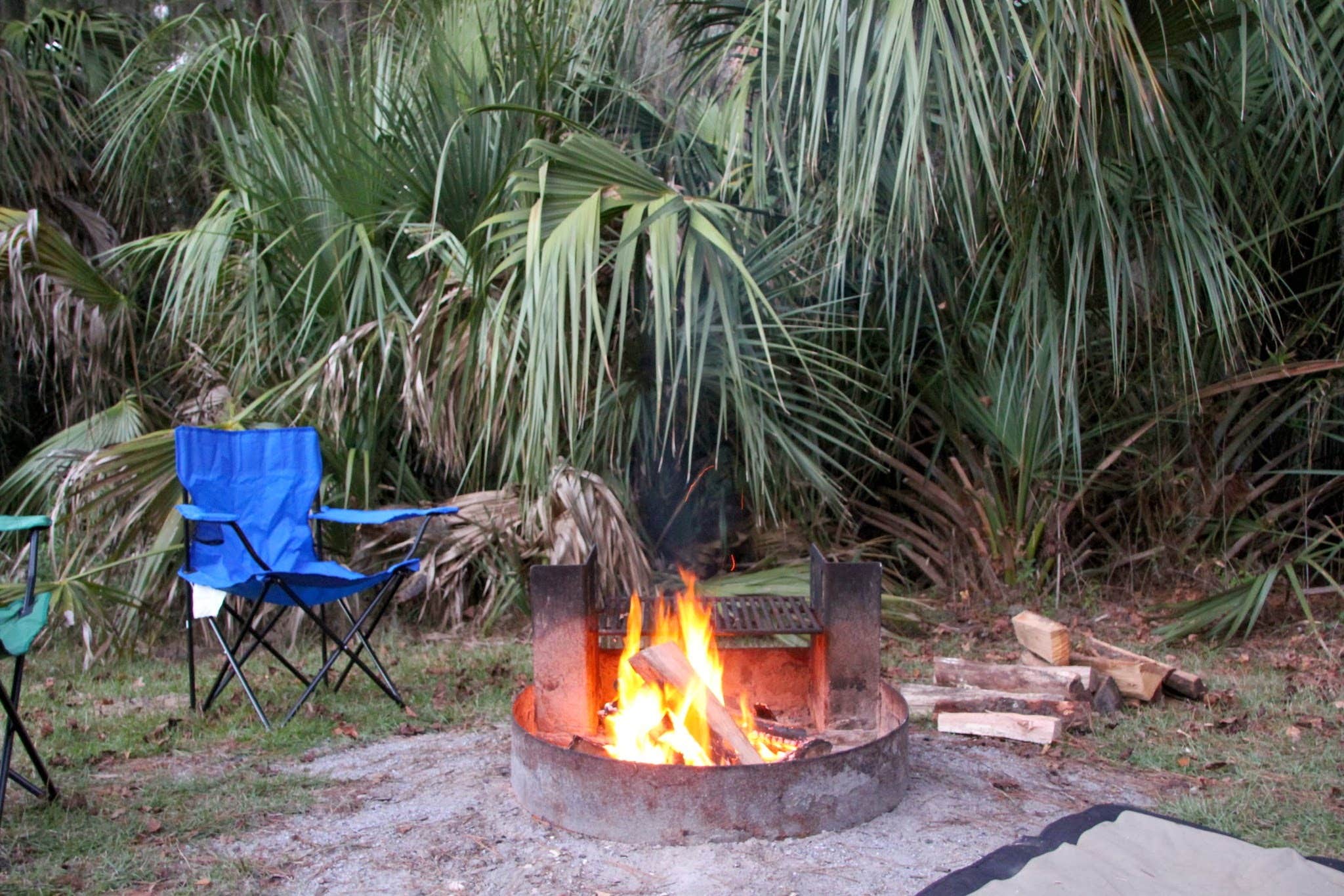 Camper submitted image from Skidaway Island State Park Campground - 3