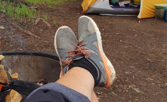 Cyndi S.'s photo at Brook Char Campground near Greer, AZ