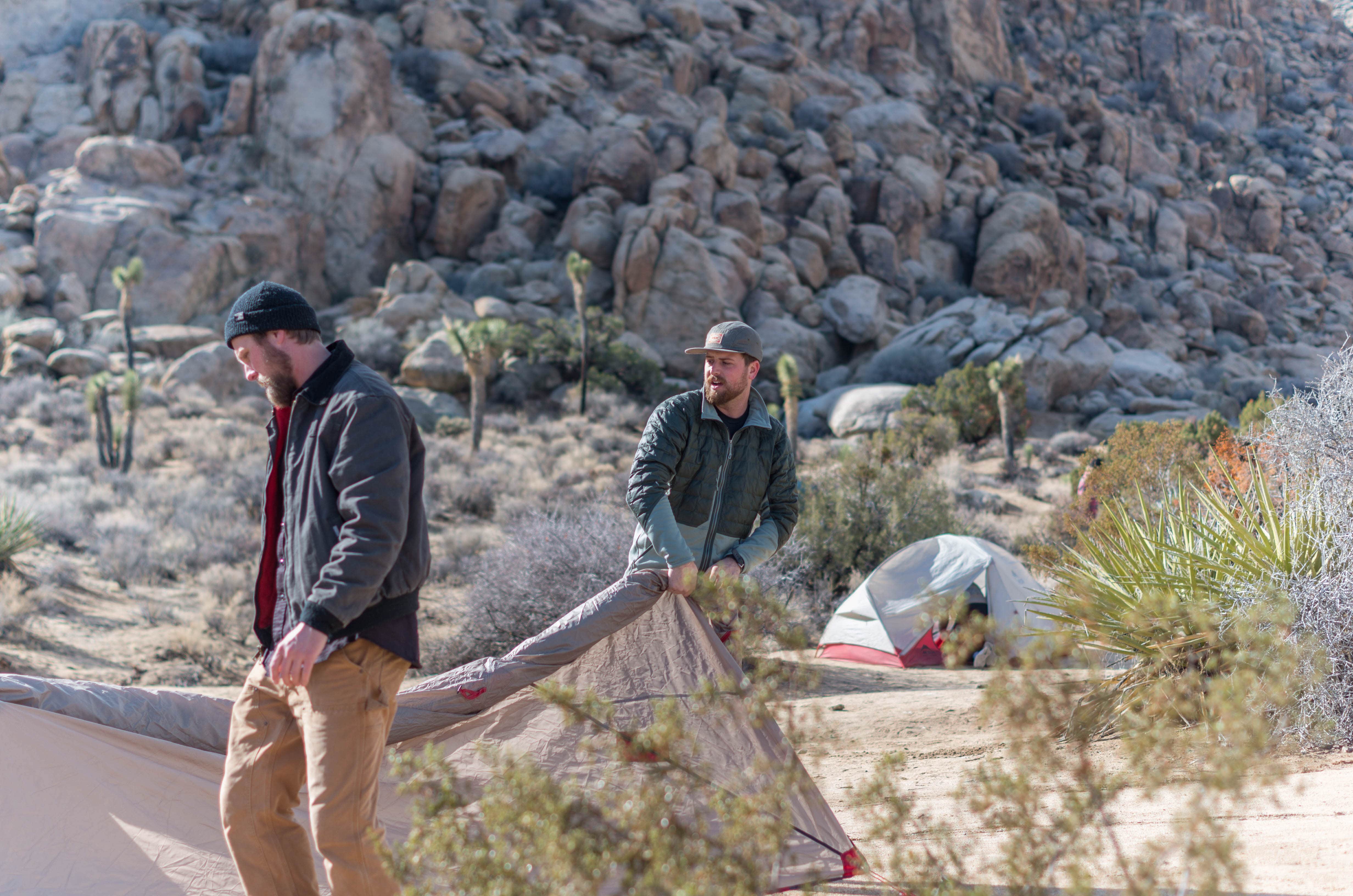 Camper submitted image from Sheep Pass Group Campground — Joshua Tree National Park - 3