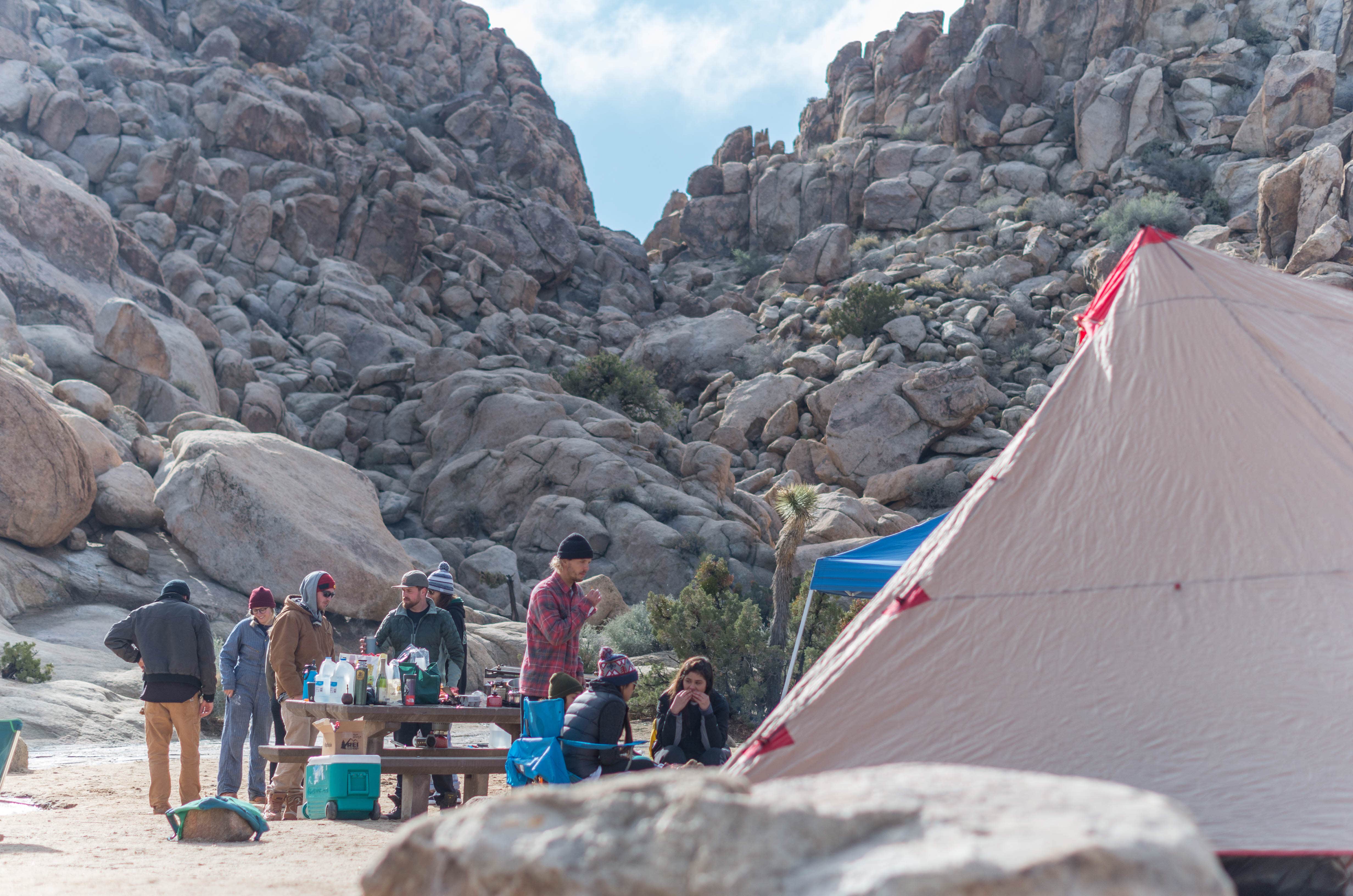 Camper submitted image from Sheep Pass Group Campground — Joshua Tree National Park - 3