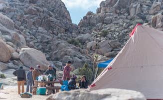 Tory B.'s photo at Sheep Pass Group Campground — Joshua Tree National Park near Joshua Tree National Park