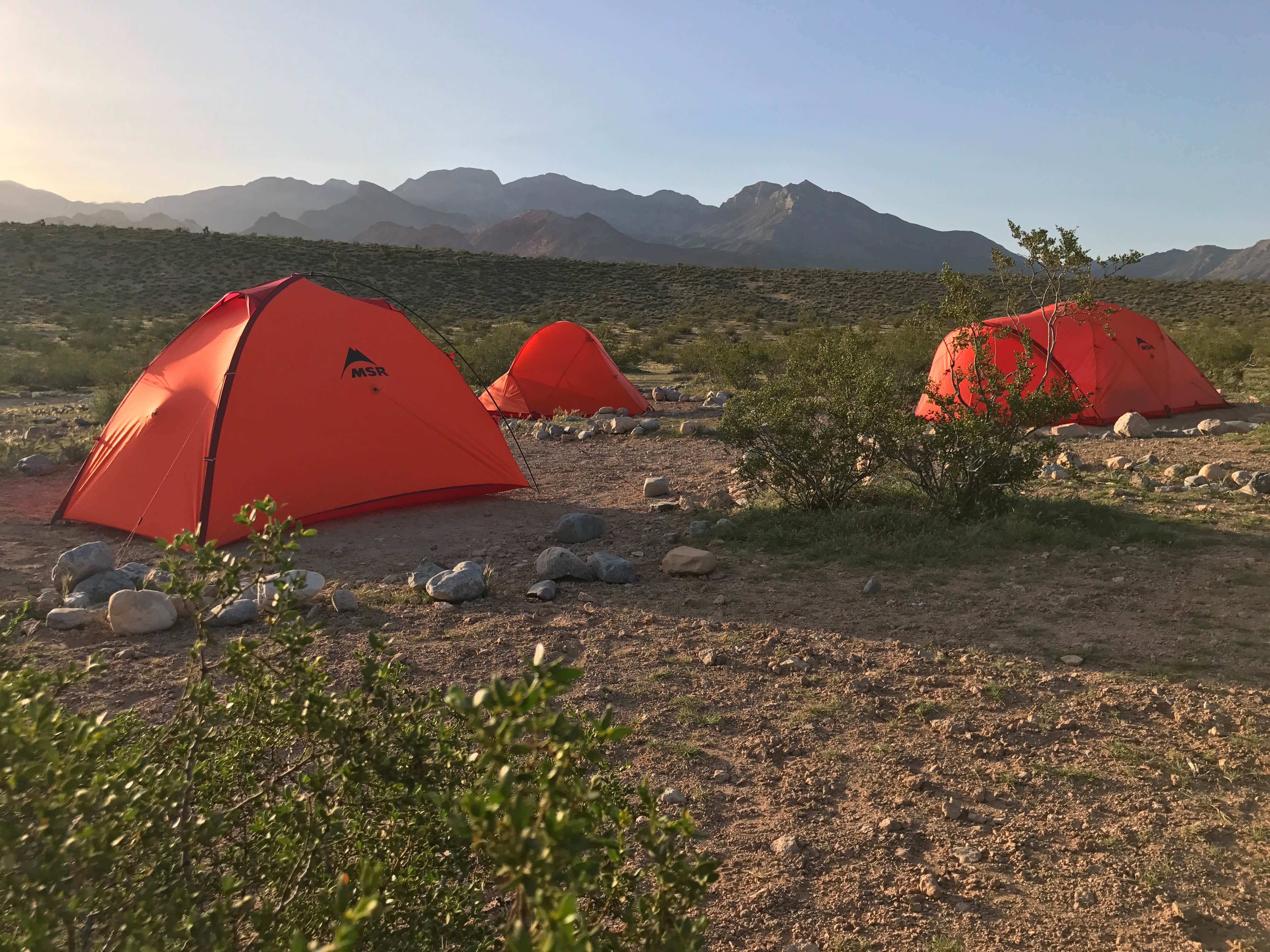 Tory B.'s photo at Red Rock Canyon Campground in Nevada