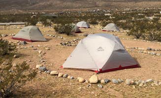 Tory B.'s photo at Red Rock Canyon National Conservation Area - Red Rock Campground near Las Vegas, NV