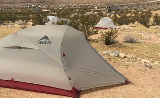 Tory B.'s photo at Red Rock Canyon National Conservation Area - Red Rock Campground near North Las Vegas, NV