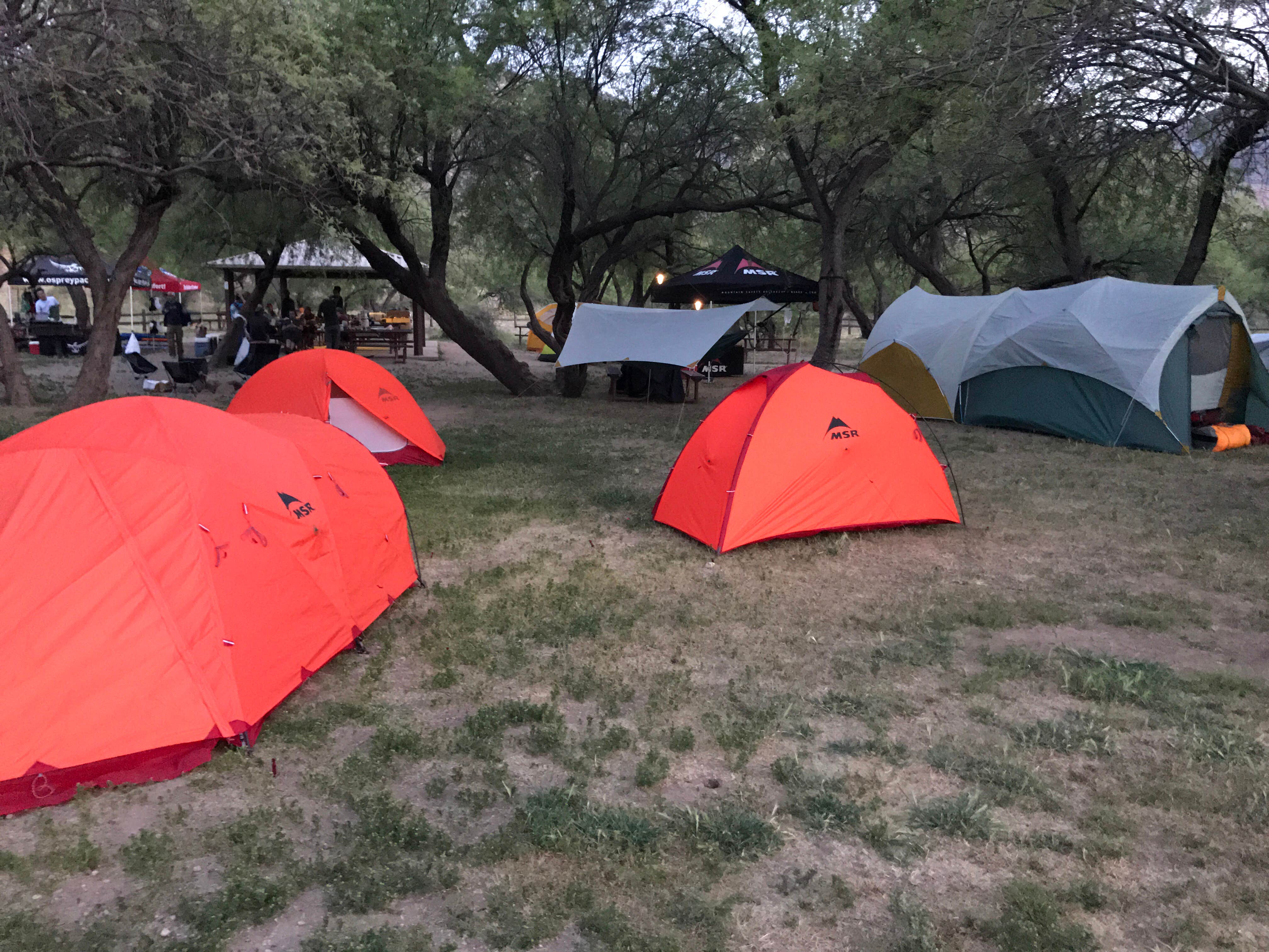 Tory B.'s photo at Catalina State Park Campground near San Manuel, AZ