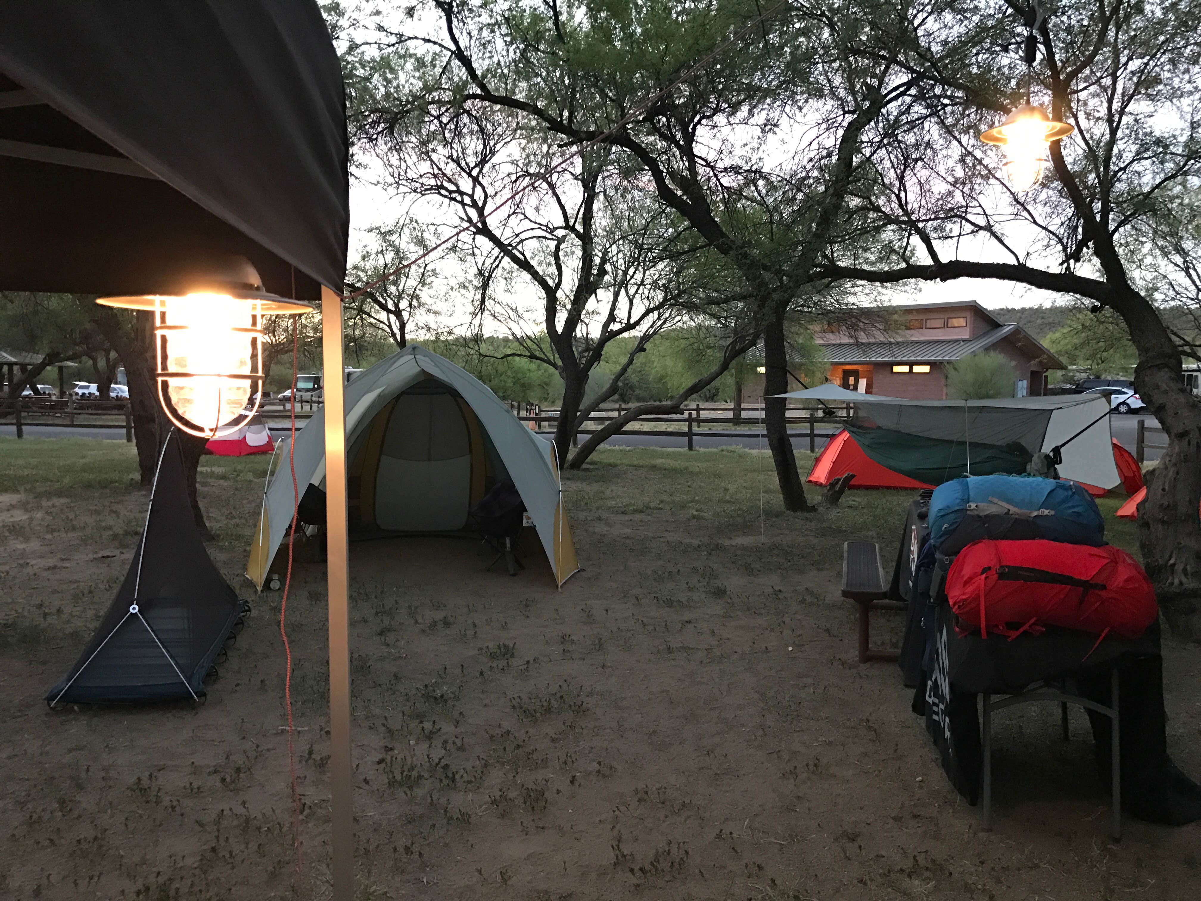 Tory B.'s photo at Catalina State Park Campground near Summerhaven, AZ