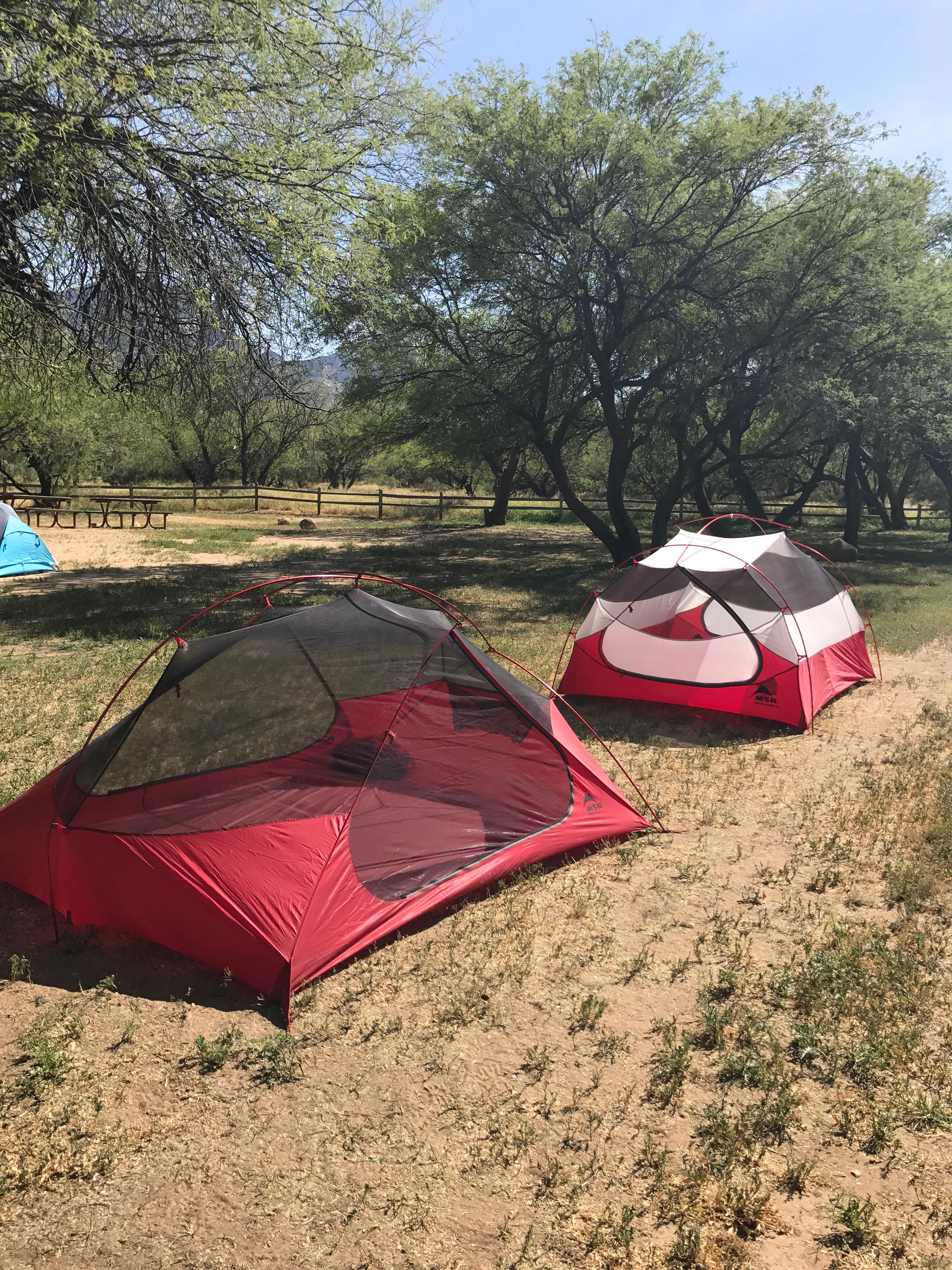 Tory B.'s photo at Catalina State Park Campground near Oro Valley, AZ