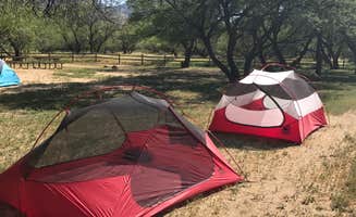 Tory B.'s photo at Catalina State Park Campground near Oro Valley, AZ