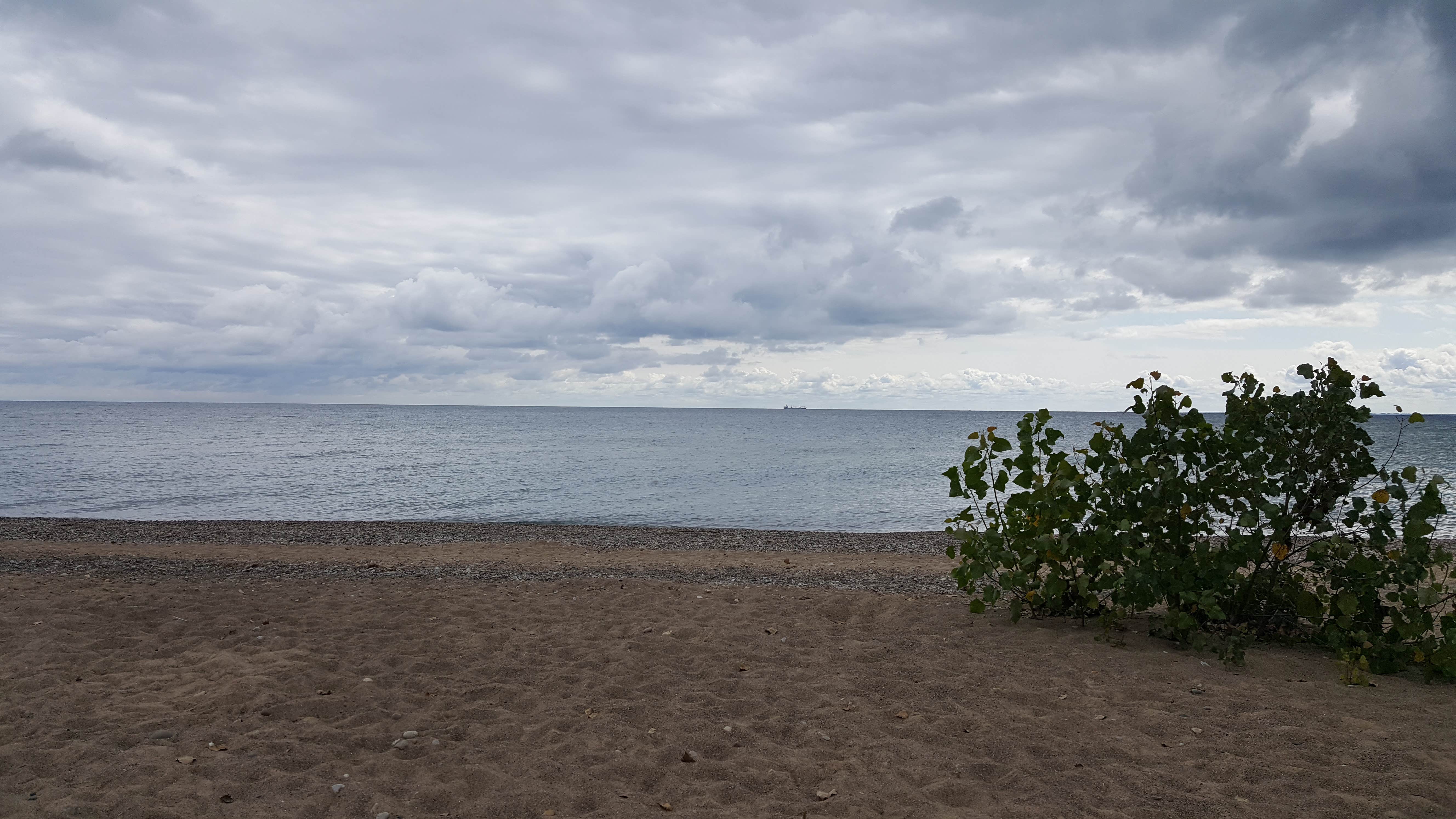 Camper submitted image from Lakeport State Park Campground - 3