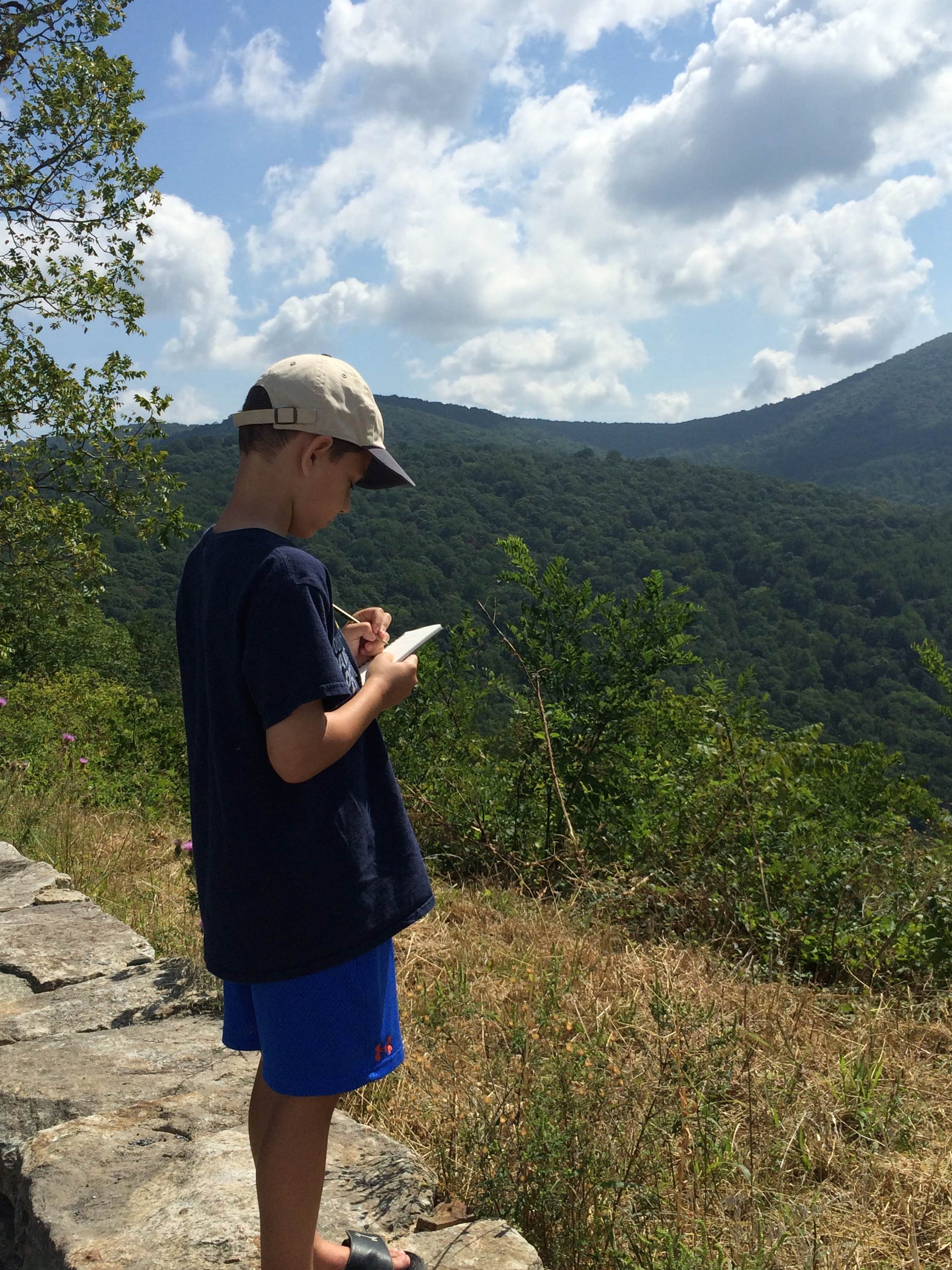 Camper submitted image from Mathews Arm Campground — Shenandoah National Park - 3
