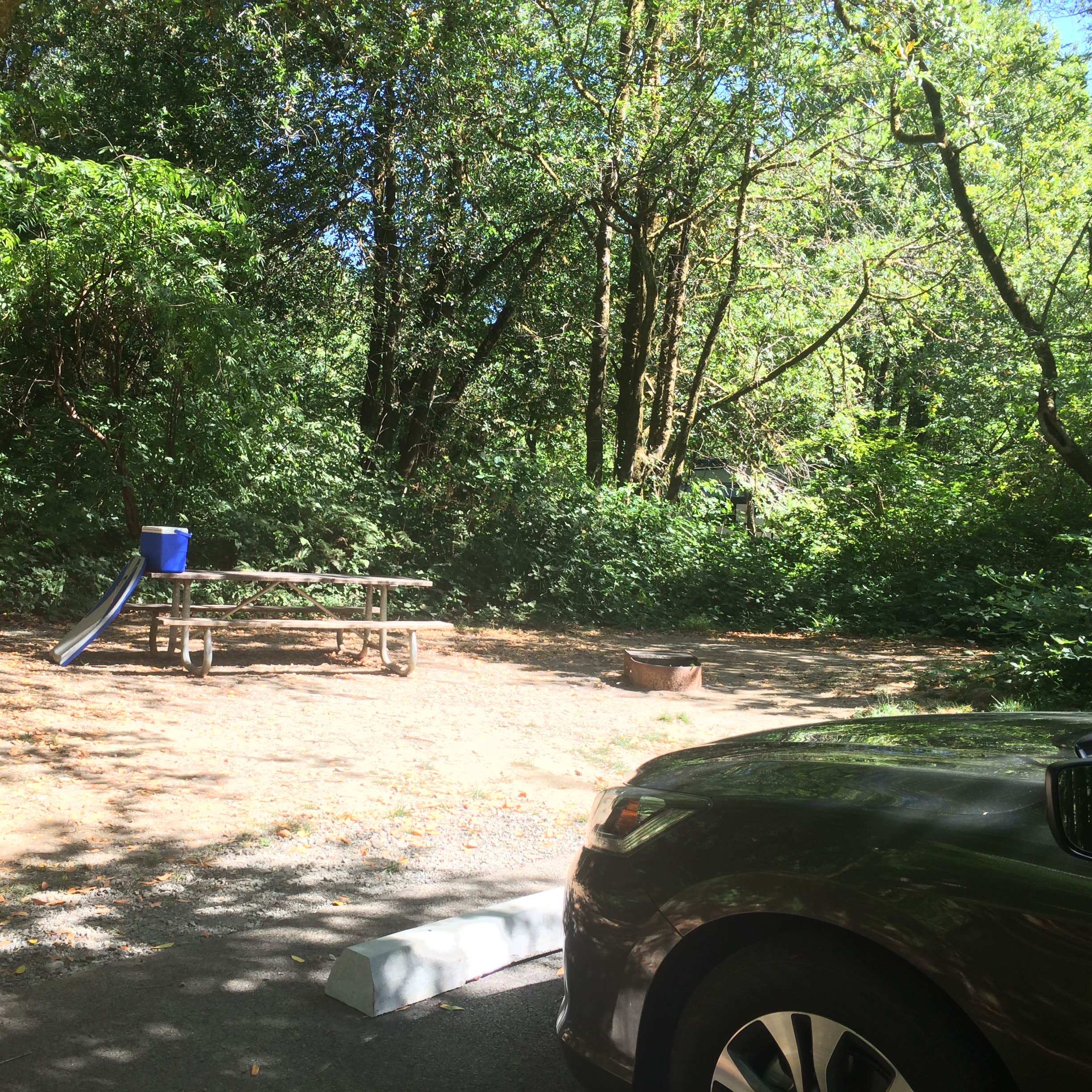 Alfred A. Loeb State Park Camping The Dyrt