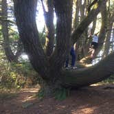 Review photo of Harris Beach State Park Campground by Sue M., August 22, 2017