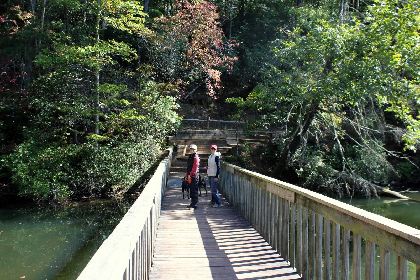 Camper submitted image from Unicoi State Park & Lodge - 4