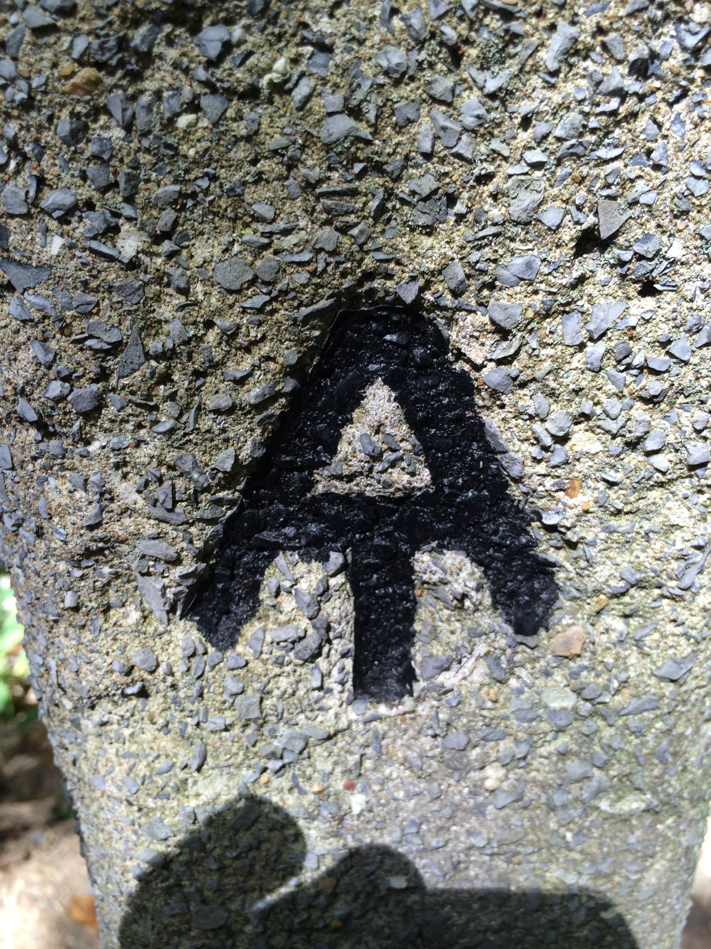 Camper submitted image from Mathews Arm Campground — Shenandoah National Park - 5