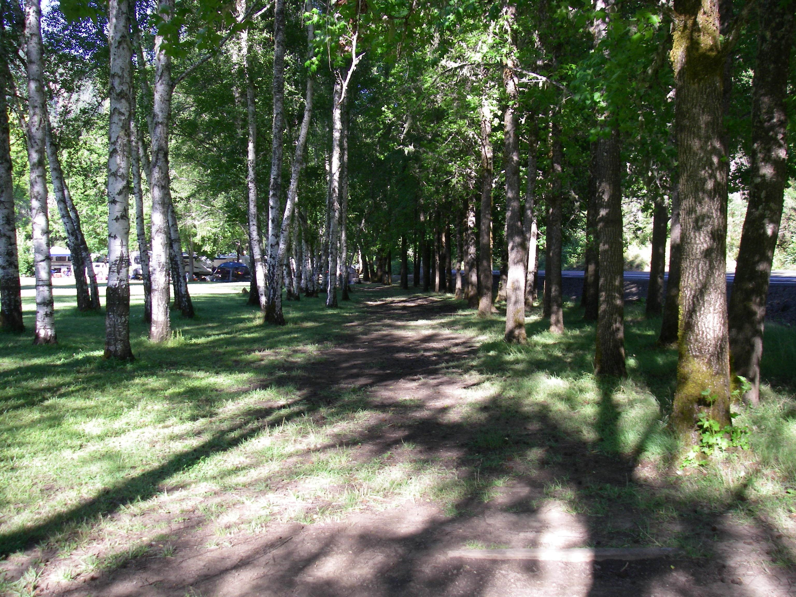 Camper-submitted photo at Indian Mary Park near Wolf Creek, OR