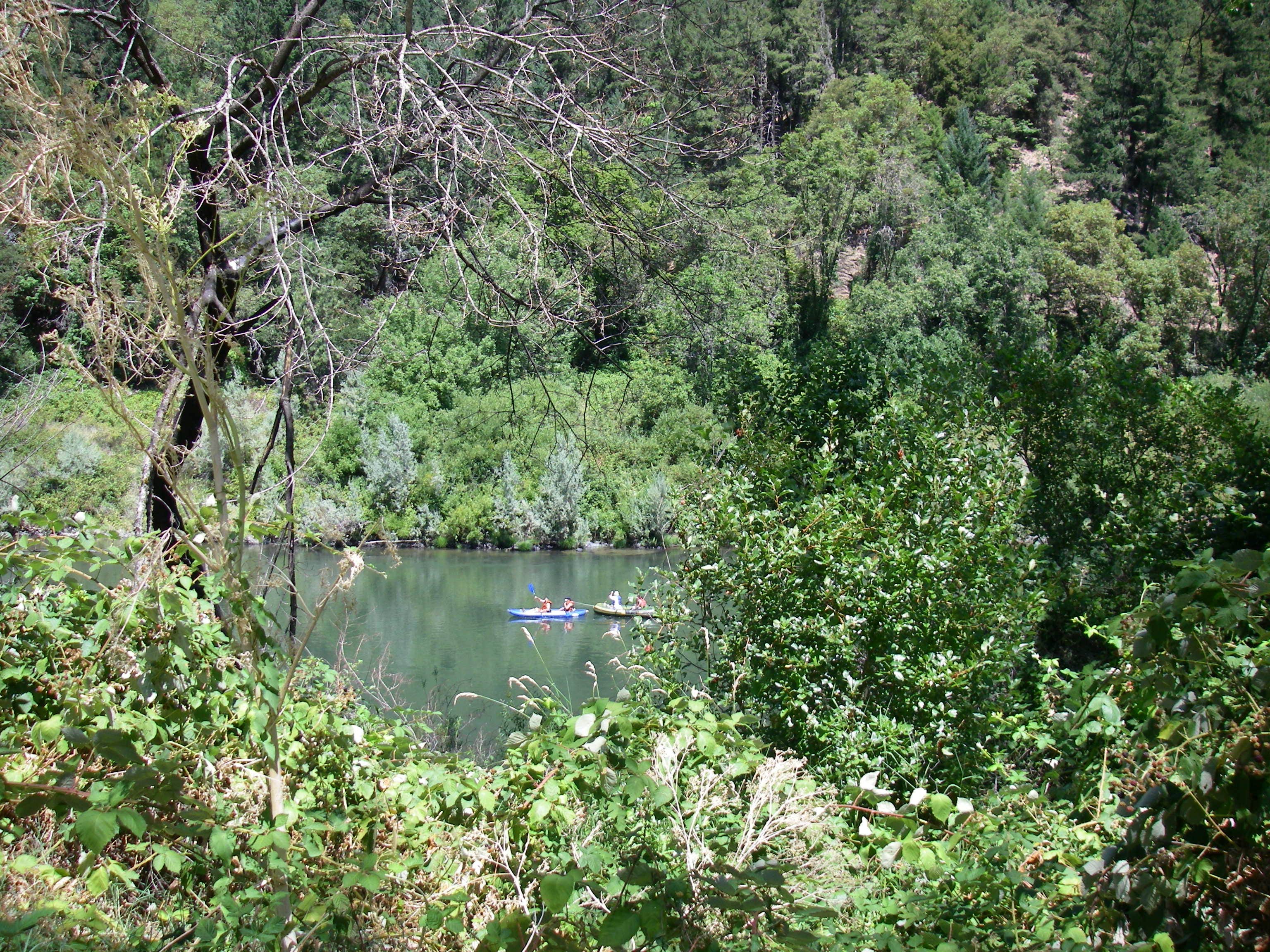 Camper-submitted photo at Indian Mary Park near Wolf Creek, OR