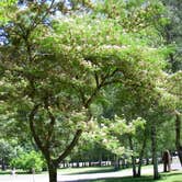Review photo of Indian Mary Park by Sue M., August 31, 2017