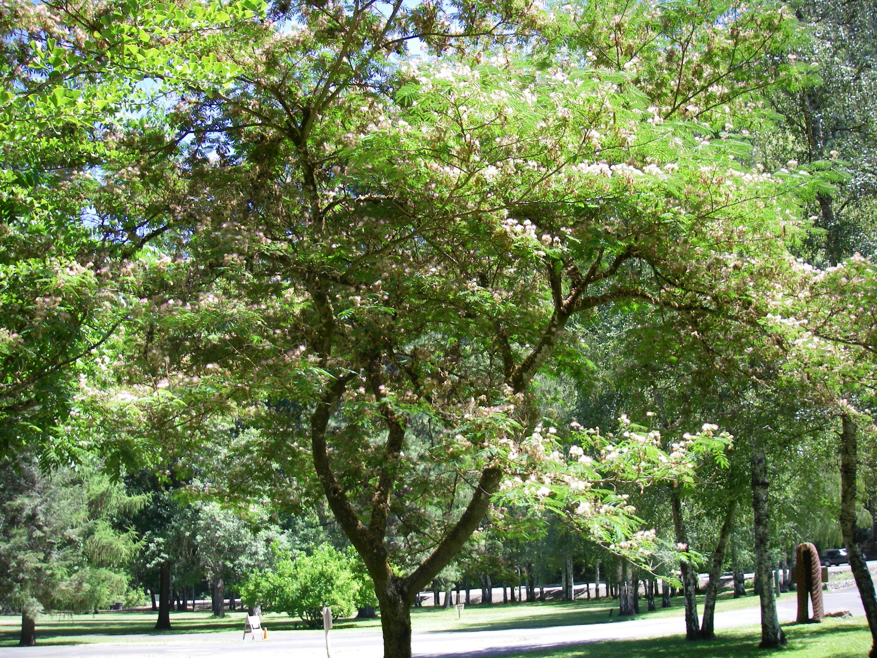 Camper submitted image from Indian Mary Park - 1