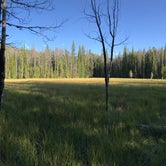 Review photo of Timber Creek Campground — Rocky Mountain National Park by Austin R., August 31, 2017