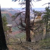 Review photo of North Rim Campground — Grand Canyon National Park by Shelley K., June 30, 2016