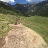 Review photo of Piney Crossing Primitive Campground - CLOSED by Isabelle K., August 31, 2017