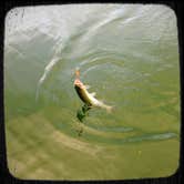 Review photo of Cove Resort at Fish Lake by Mercedes D., August 31, 2017