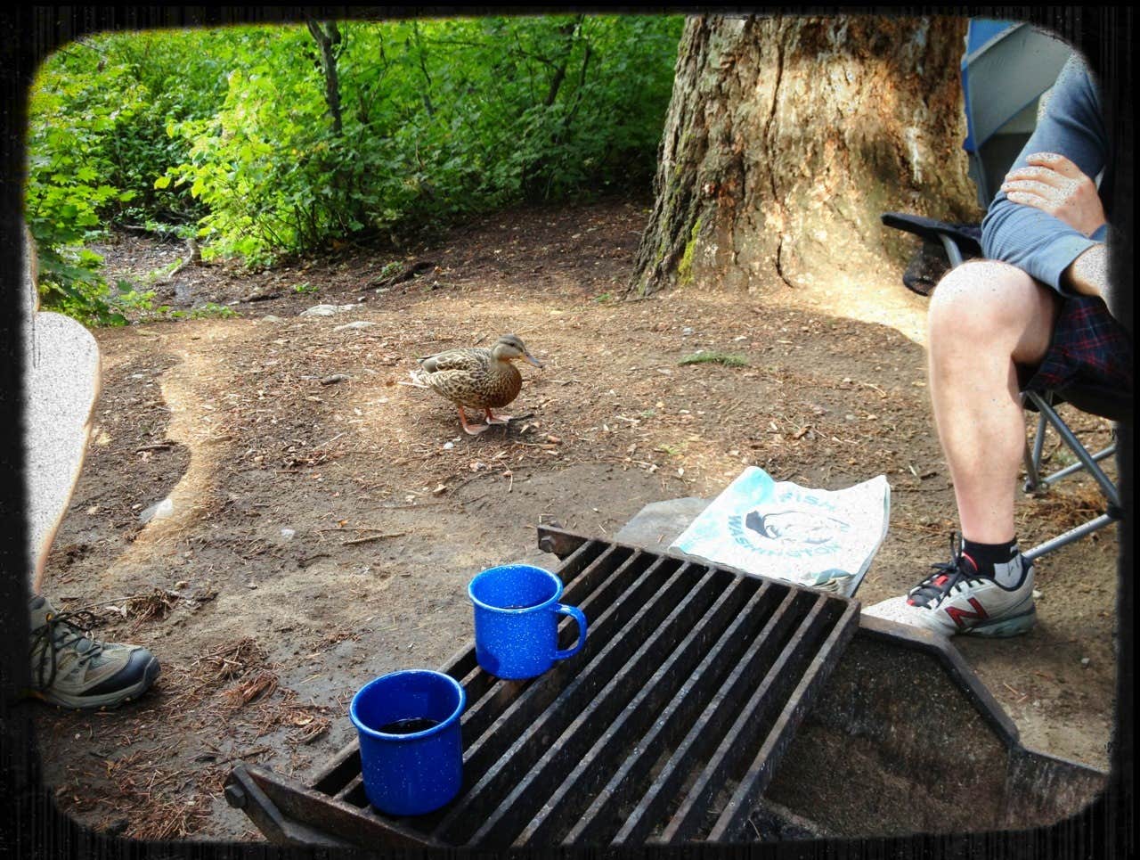 Camper submitted image from Cove Resort at Fish Lake - 5