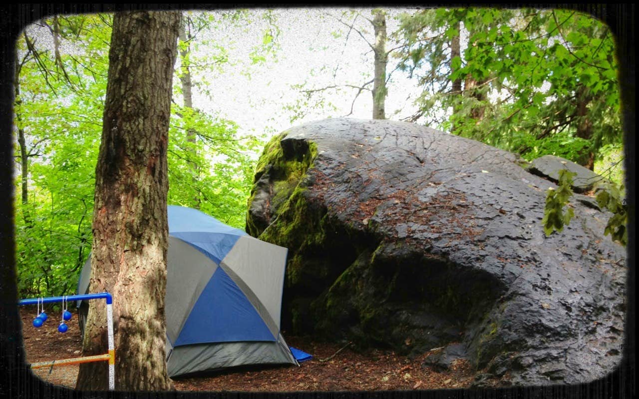 Camper submitted image from Cove Resort at Fish Lake - 4