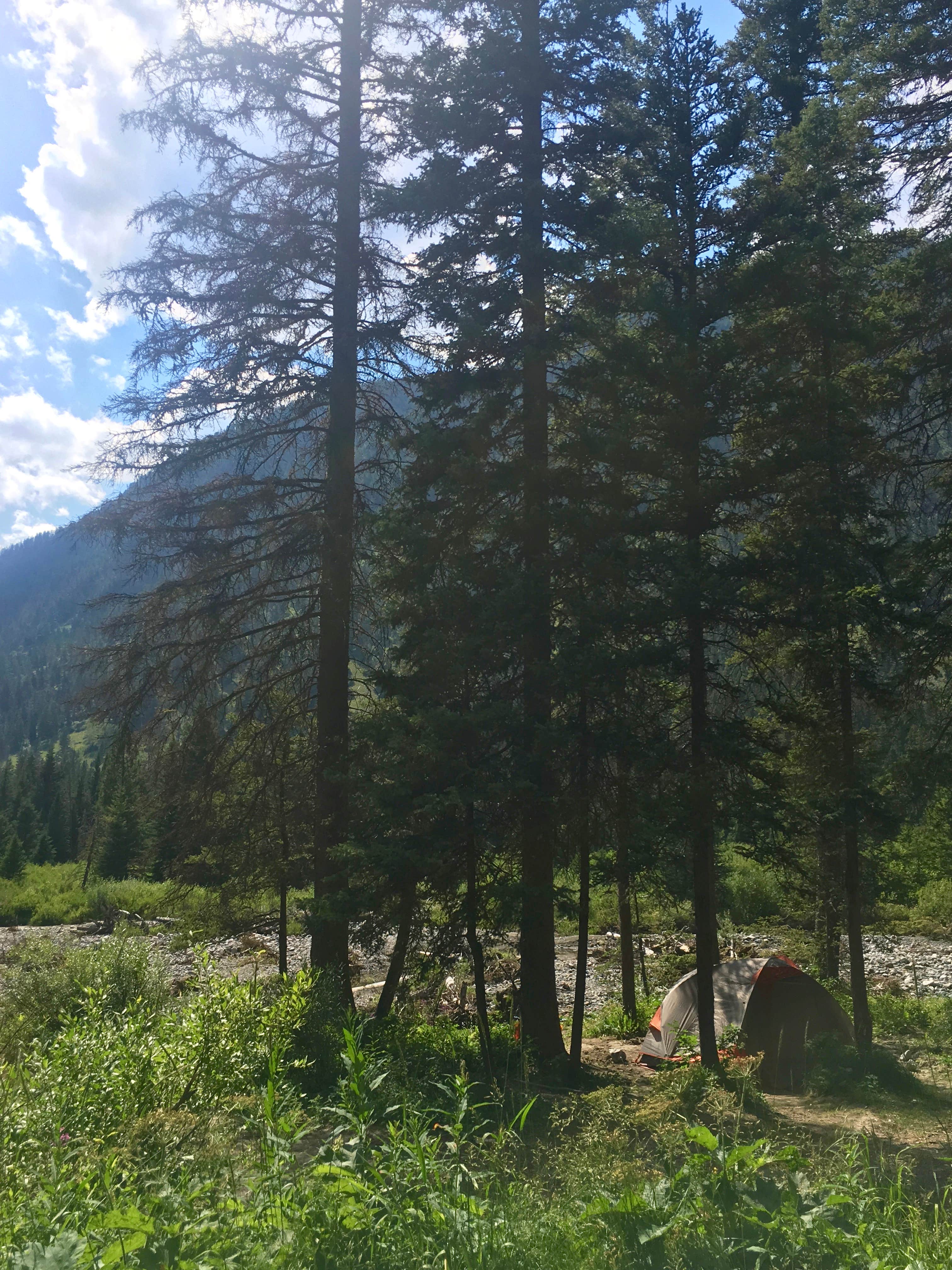 Camper submitted image from Beaver Creek Campground - 2