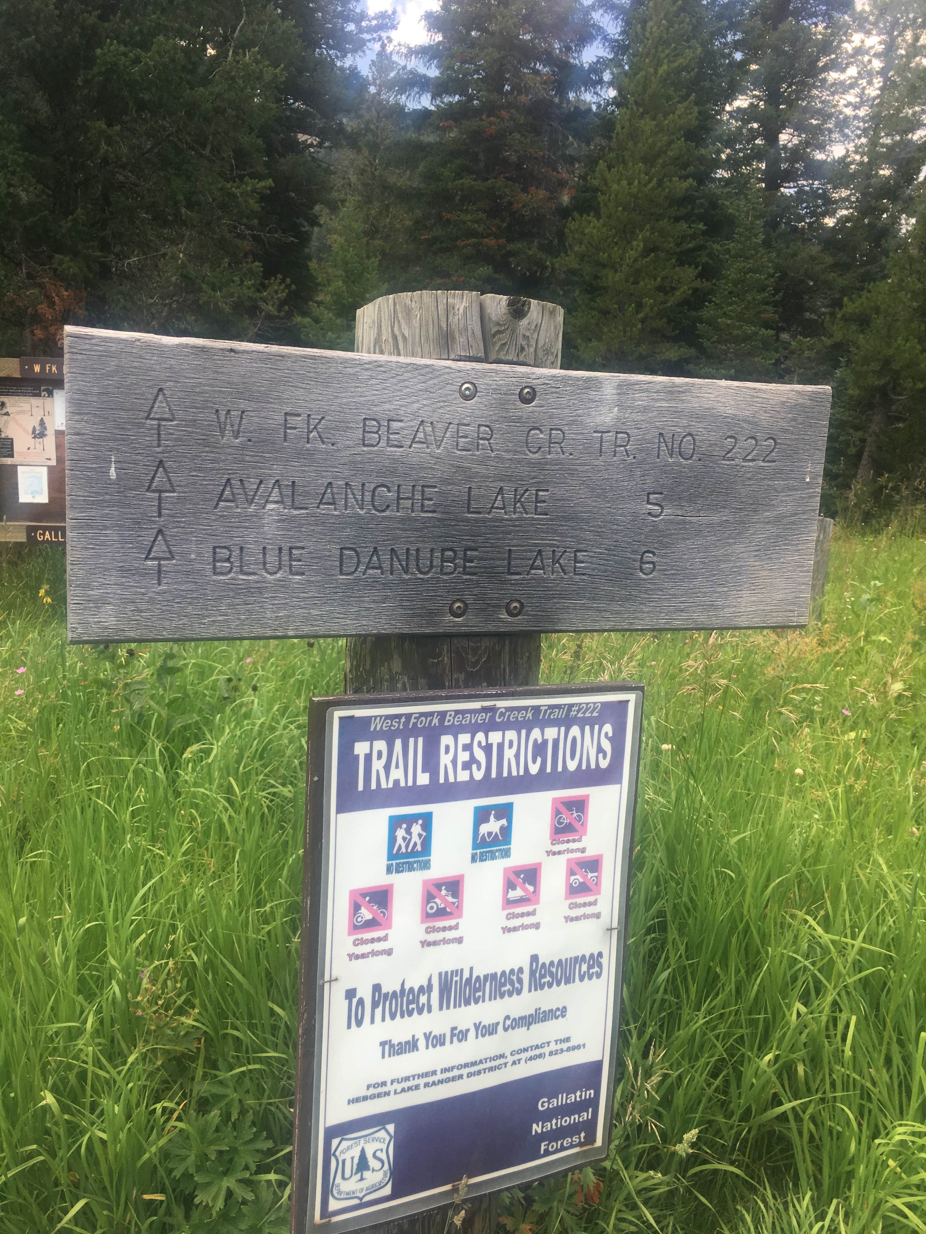 Camper submitted image from Beaver Creek Campground - 4